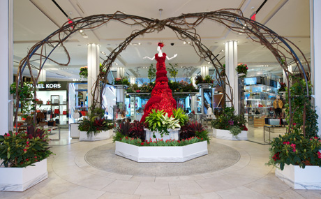 MacyFlowerShow2014_V1_460x285